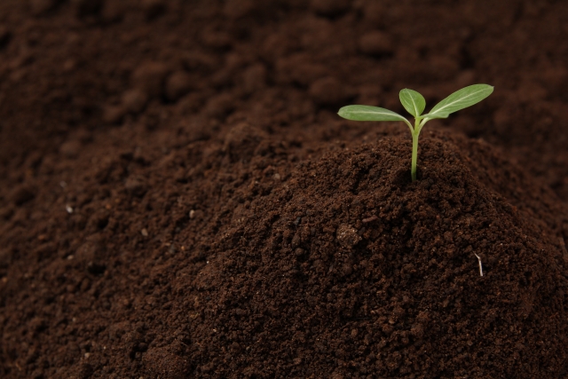 時代のシフトの予感。