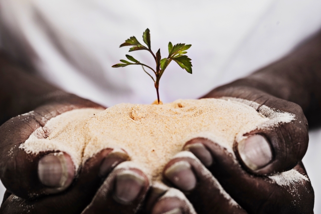 今日の小さな選択が、未来の世界を美しくする。