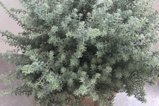 一人一人の一歩が大事。